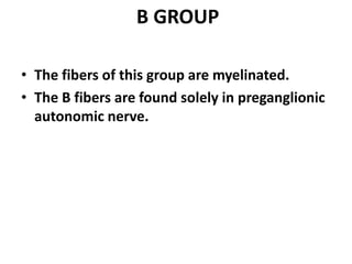 B GROUP
• The fibers of this group are myelinated.
• The B fibers are found solely in preganglionic
autonomic nerve.
 