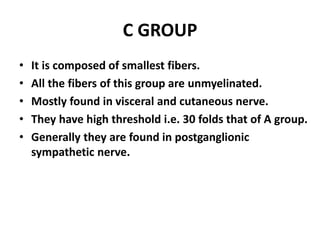 C GROUP
• It is composed of smallest fibers.
• All the fibers of this group are unmyelinated.
• Mostly found in visceral and cutaneous nerve.
• They have high threshold i.e. 30 folds that of A group.
• Generally they are found in postganglionic
sympathetic nerve.
 