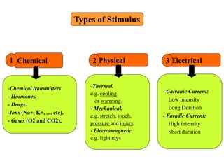 Types of Stimulus
-Chemical transmitters
- Hormones.
- Drugs.
-Ions (Na+, K+, .... etc).
- Gases (O2 and CO2).
-Thermal.
e.g. cooling
or warming.
- Mechanical.
e.g. stretch, touch,
pressure and injury.
- Electromagnetic.
e.g. light rays
Chemical Physical1 2 Electrical3
- Galvanic Current:
Low intensity
Long Duration
- Faradic Current:
High intensity
Short duration
 