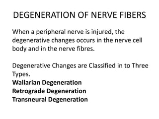 DEGENERATION OF NERVE FIBERS
When a peripheral nerve is injured, the
degenerative changes occurs in the nerve cell
body and in the nerve fibres.
Degenerative Changes are Classified in to Three
Types.
Wallarian Degeneration
Retrograde Degeneration
Transneural Degeneration
 