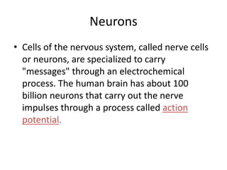 Neurons
• Cells of the nervous system, called nerve cells
or neurons, are specialized to carry
"messages" through an electrochemical
process. The human brain has about 100
billion neurons that carry out the nerve
impulses through a process called action
potential.
 