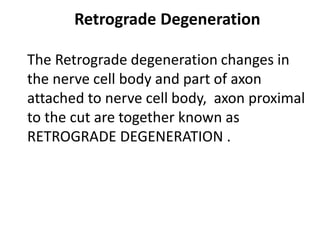 Retrograde Degeneration
The Retrograde degeneration changes in
the nerve cell body and part of axon
attached to nerve cell body, axon proximal
to the cut are together known as
RETROGRADE DEGENERATION .
 
