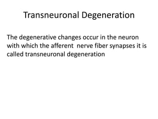 Transneuronal Degeneration
The degenerative changes occur in the neuron
with which the afferent nerve fiber synapses it is
called transneuronal degeneration
 