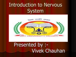 Introduction to Nervous
System
Presented by :-
Vivek Chauhan
 