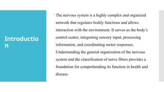 Introduction to Nervous System and Neuron.pptx