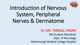 Introduction of Nervous
System, Peripheral
Nerves & Dermatome
Dr. MD. TARIQUL HASAN
MD Student (Resident)
Dept. of Neurology
Mymensingh Medical College Hospital
 