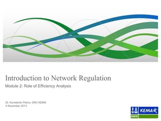 Introduction to Network Regulation
Module 2: Role of Efficiency Analysis

Dr. Konstantin Petrov, DNV KEMA
4 November 2013

 
