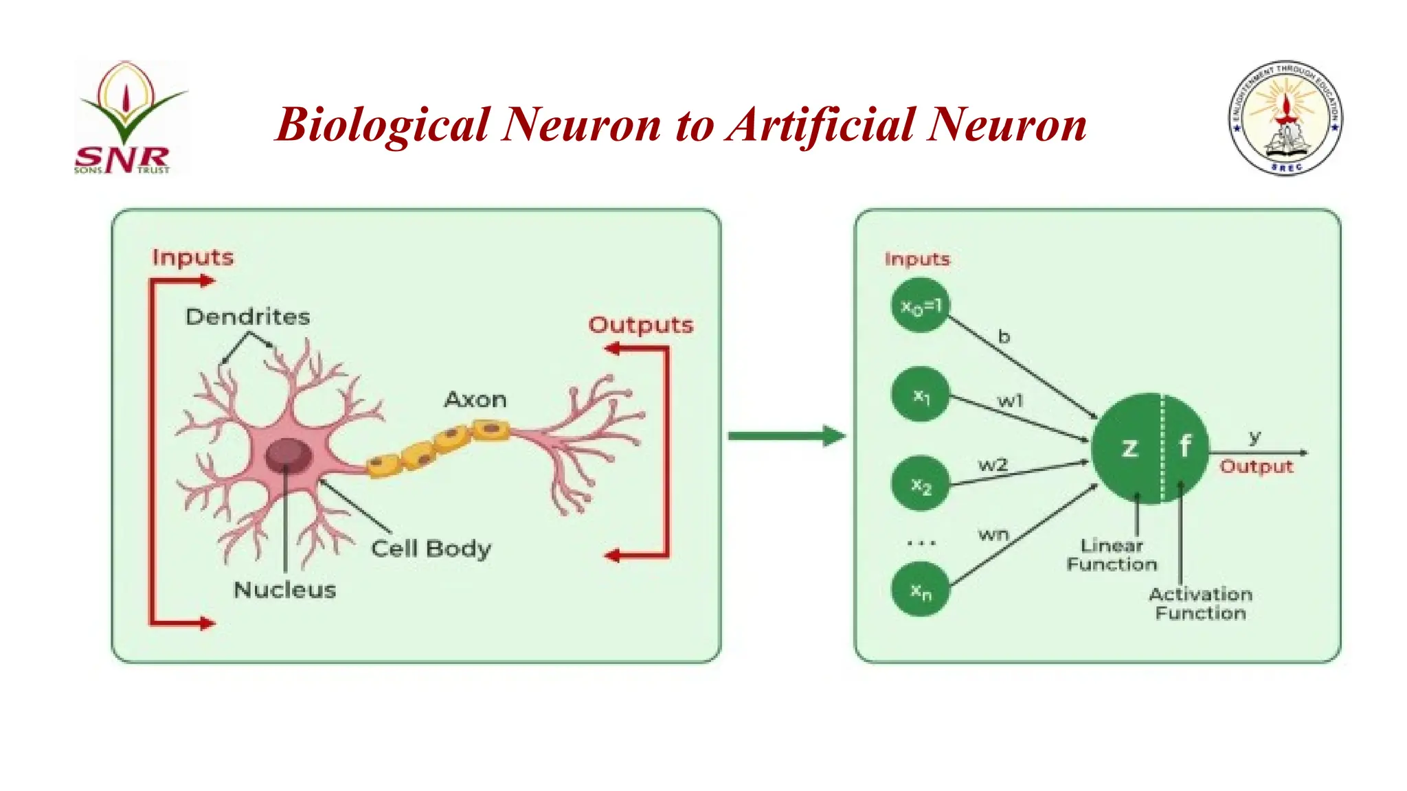Biological Neuron to Artificial Neuron
 