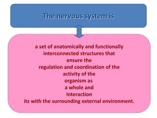 The nervous system is
a set of anatomically and functionally
interconnected structures that
ensure the
regulation and coordination of the
activity of the
organism as
a whole and
Interaction
its with the surrounding external environment.
 