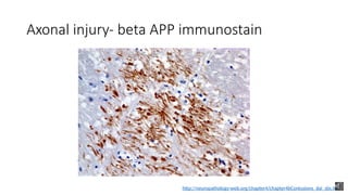 Introduction to Neuropathology..........................pptx