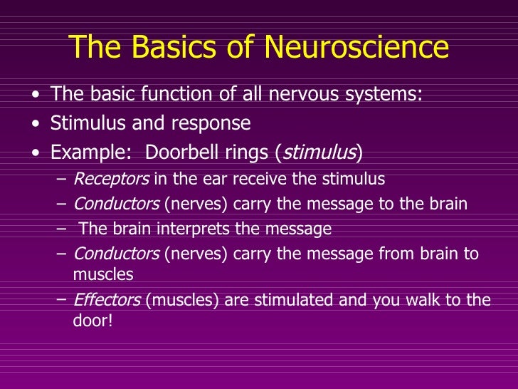Introduction To Neuroscience Introduction To Neuroscience