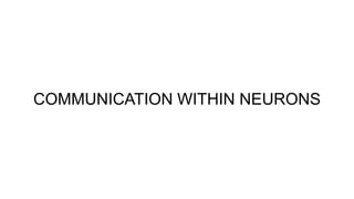 COMMUNICATION WITHIN NEURONS
 