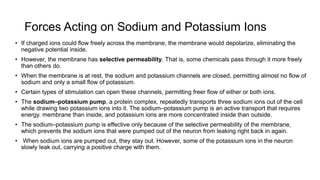 Forces Acting on Sodium and Potassium Ions
• If charged ions could flow freely across the membrane, the membrane would depolarize, eliminating the
negative potential inside.
• However, the membrane has selective permeability. That is, some chemicals pass through it more freely
than others do.
• When the membrane is at rest, the sodium and potassium channels are closed, permitting almost no flow of
sodium and only a small flow of potassium.
• Certain types of stimulation can open these channels, permitting freer flow of either or both ions.
• The sodium–potassium pump, a protein complex, repeatedly transports three sodium ions out of the cell
while drawing two potassium ions into it. The sodium–potassium pump is an active transport that requires
energy. membrane than inside, and potassium ions are more concentrated inside than outside.
• The sodium–potassium pump is effective only because of the selective permeability of the membrane,
which prevents the sodium ions that were pumped out of the neuron from leaking right back in again.
• When sodium ions are pumped out, they stay out. However, some of the potassium ions in the neuron
slowly leak out, carrying a positive charge with them.
 