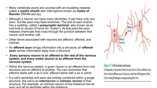 • Many vertebrate axons are covered with an insulating material
called a myelin sheath with interruptions known as nodes of
Ranvier (RAHN-vee-ay).
• Although a neuron can have many dendrites, it can have only one
axon, but the axon may have branches. The end of each branch
has a swelling, called a presynaptic terminal, also known as an
end bulb or bouton (French for “button”). At that point the axon
releases chemicals that cross through the junction between that
neuron and another cell.
• Other terms associated with neurons are afferent, efferent, and
intrinsic.
• An afferent axon brings information into a structure; an efferent
axon carries information away from a structure.
• Every sensory neuron is an afferent to the rest of the nervous
system, and every motor neuron is an efferent from the
nervous system.
• Within the nervous system, a given neuron is an efferent from one
structure and an afferent to another. You can remember that
efferent starts with e as in exit; afferent starts with a as in admit.
• If a cell’s dendrites and axon are entirely contained within a single
structure, the cell is an interneuron or intrinsic neuron of that
structure. For example, an intrinsic neuron of the thalamus has its
 