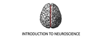 INTRODUCTION TO NEUROSCIENCE
 