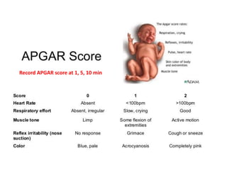 Record APGAR score at 1, 5, 10 min
 