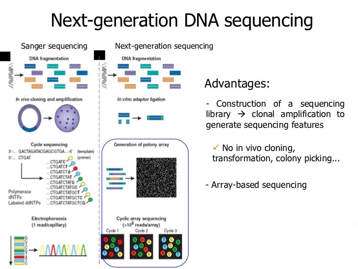 Key Words Next-generation Sequencing Ngs Technologies