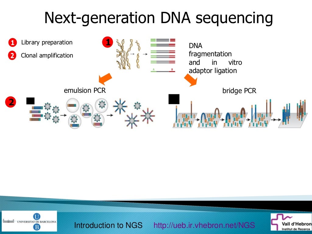 Introduction to next generation sequencing