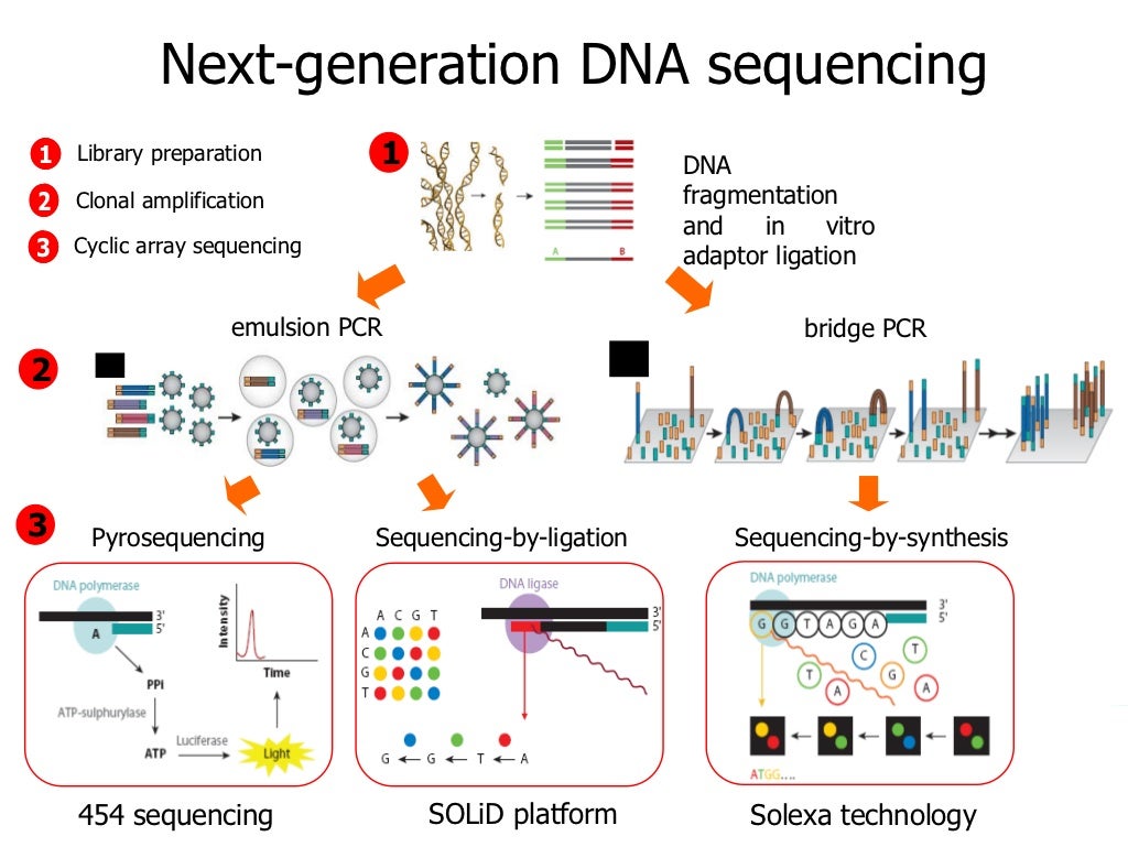 Library Preparation For Next Generation Sequencing SRXQ Library Preparation For Next Generation Sequencing SRXQ