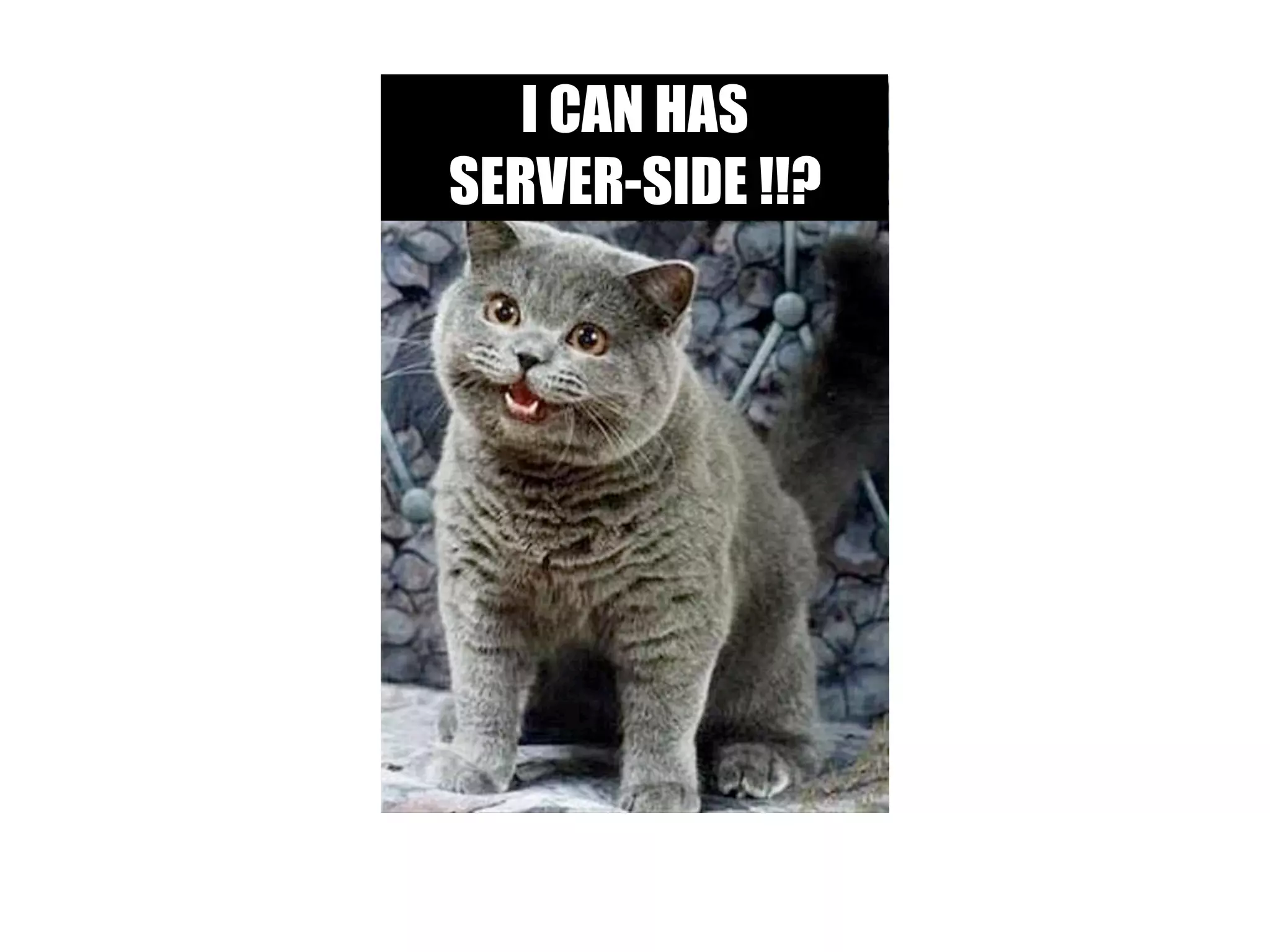 I CAN HAS
SERVER-SIDE !!?
 
