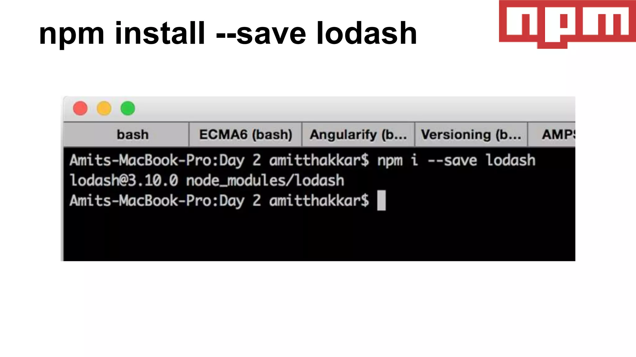 npm install --save lodash
 