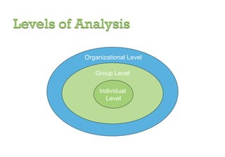 Group Level Individual  Level Organizational Level 