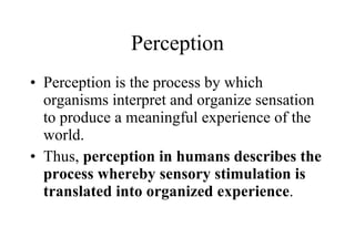 Perception Perception is the process by which organisms interpret and organize sensation to produce a meaningful experience of the world.  Thus,  perception in humans describes the process whereby sensory stimulation is translated into organized experience .  