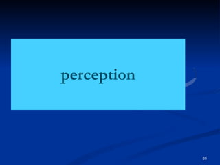perception
65
 