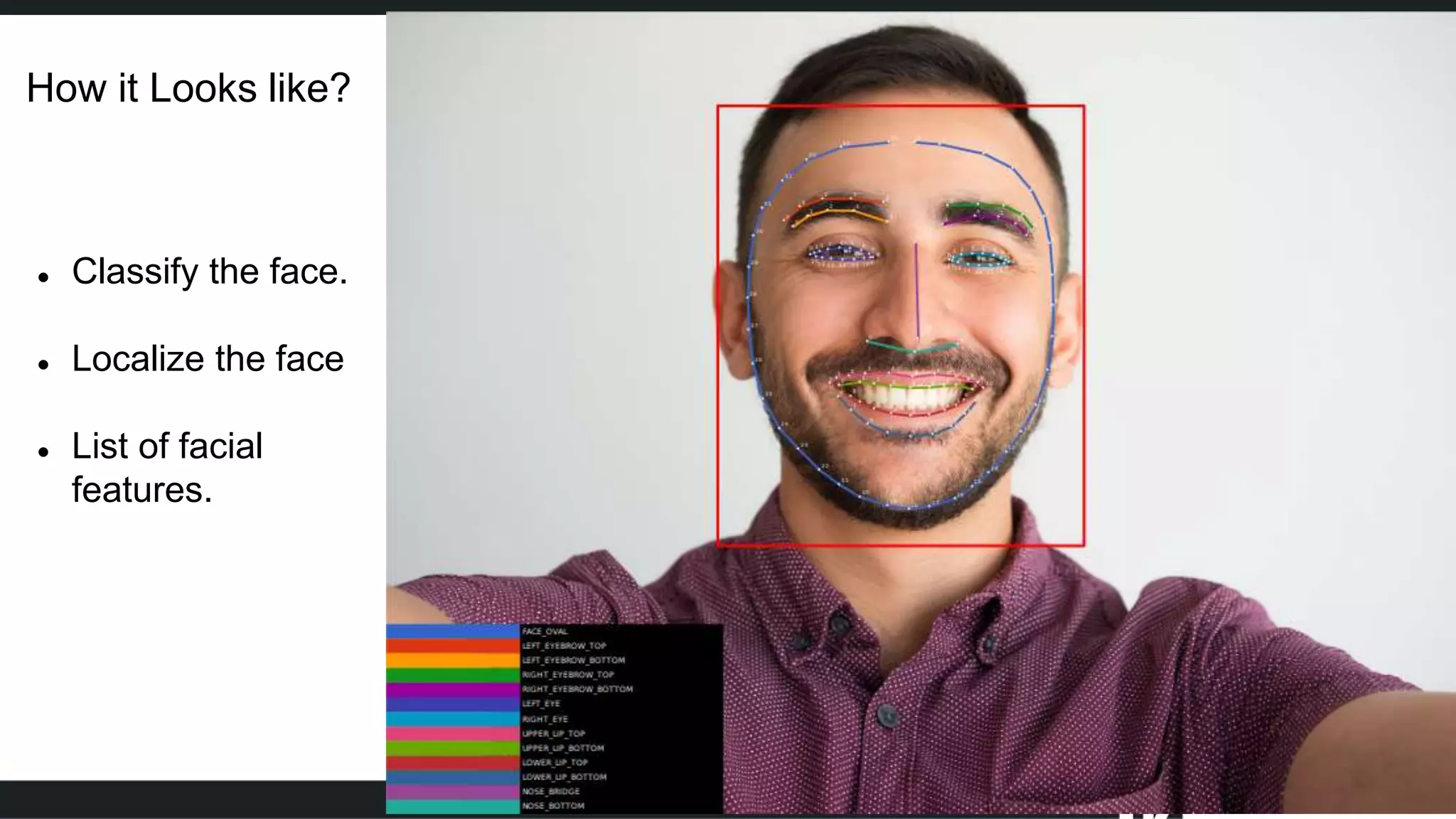  Classify the face.
 Localize the face
 List of facial
features.
How it Looks like?
 
