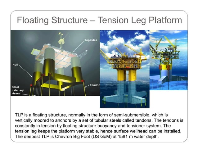 Introduction to Offshore Oil and Gas Surface Facilities | PDF | Geology ...