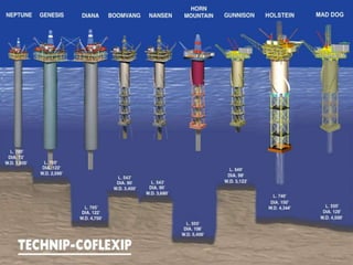 Introduction to offshore structures