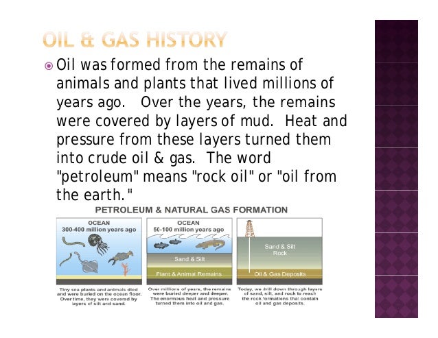 The Remains Of These Form Oil And Natural Gas The Remains Of These Form Oil And Natural Gas