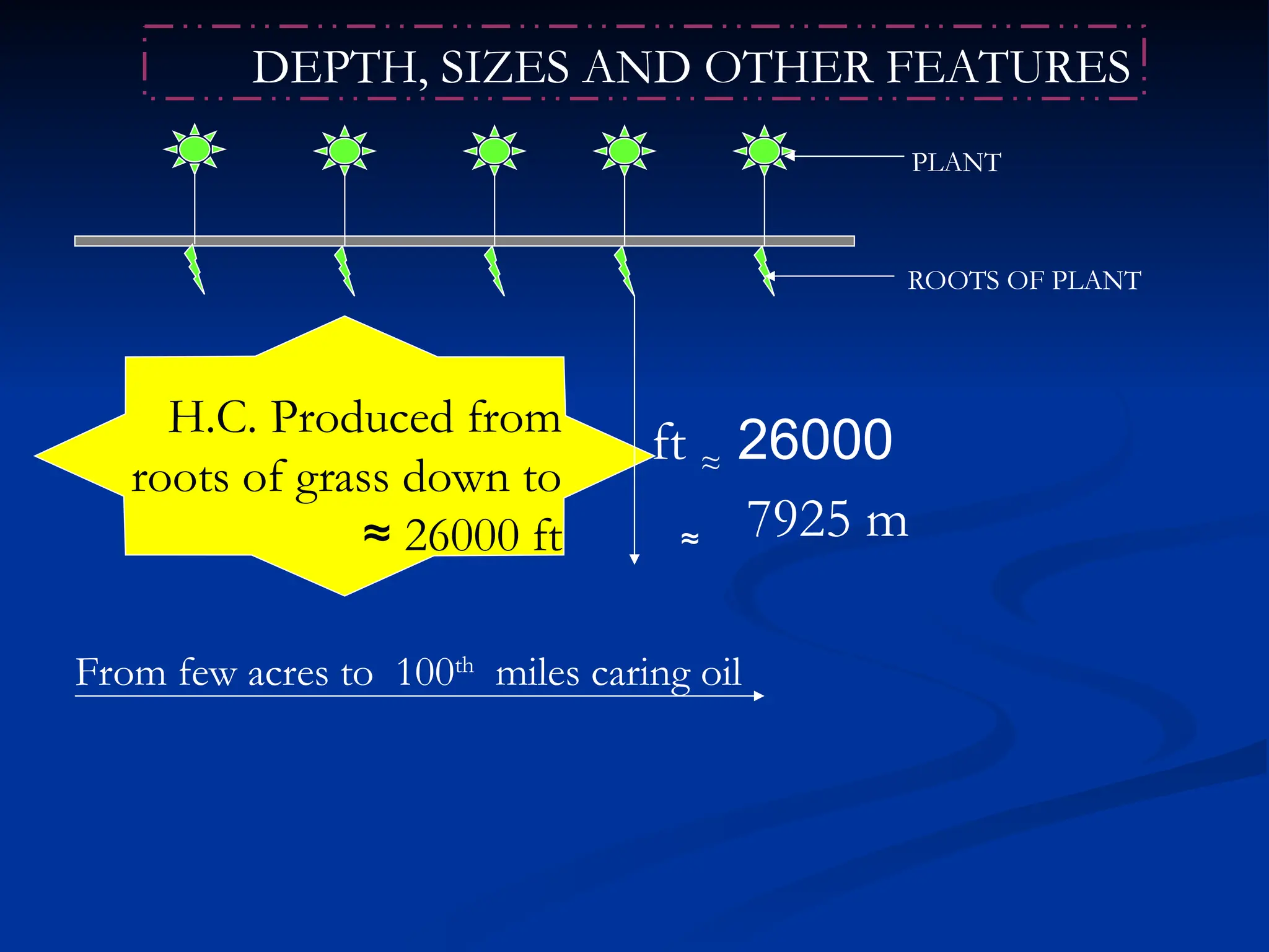 DEPTH, SIZES AND OTHER FEATURES
PLANT
ROOTS OF PLANT
26000
ft ≈
7925 m
≈
H.C. Produced from
roots of grass down to
26000 ft
≈
From few acres to 100th
miles caring oil
 