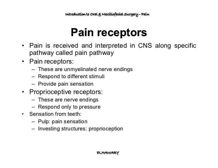 Introduction to pain control in dentistry