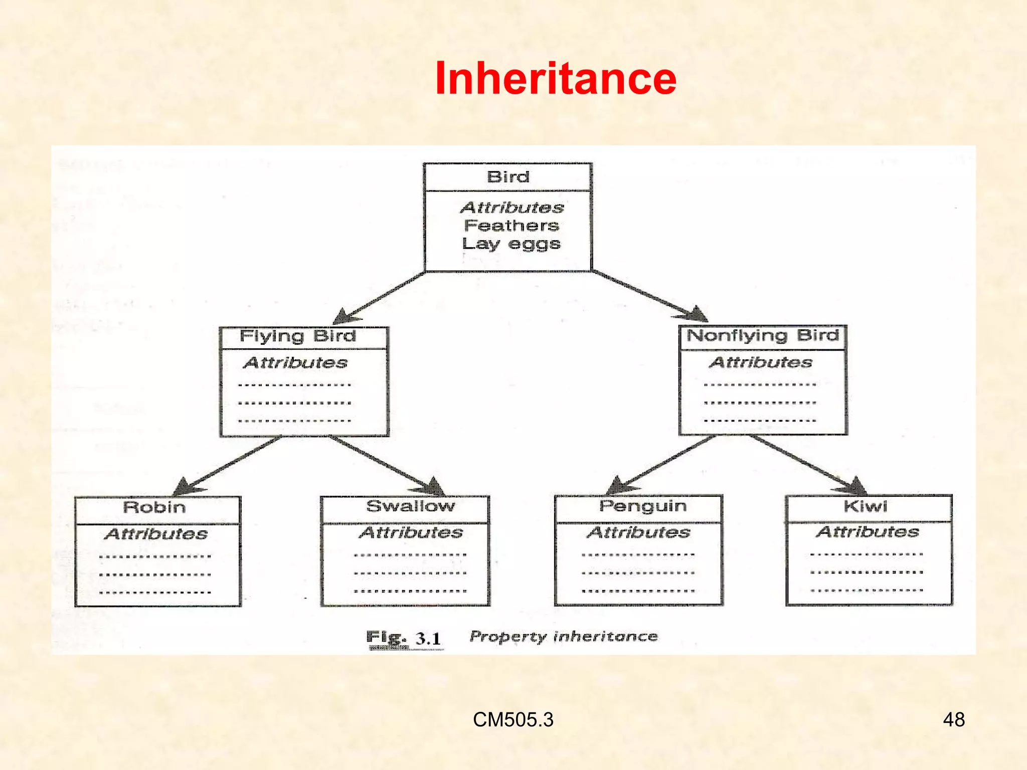 Inheritance

CM505.3

48

 