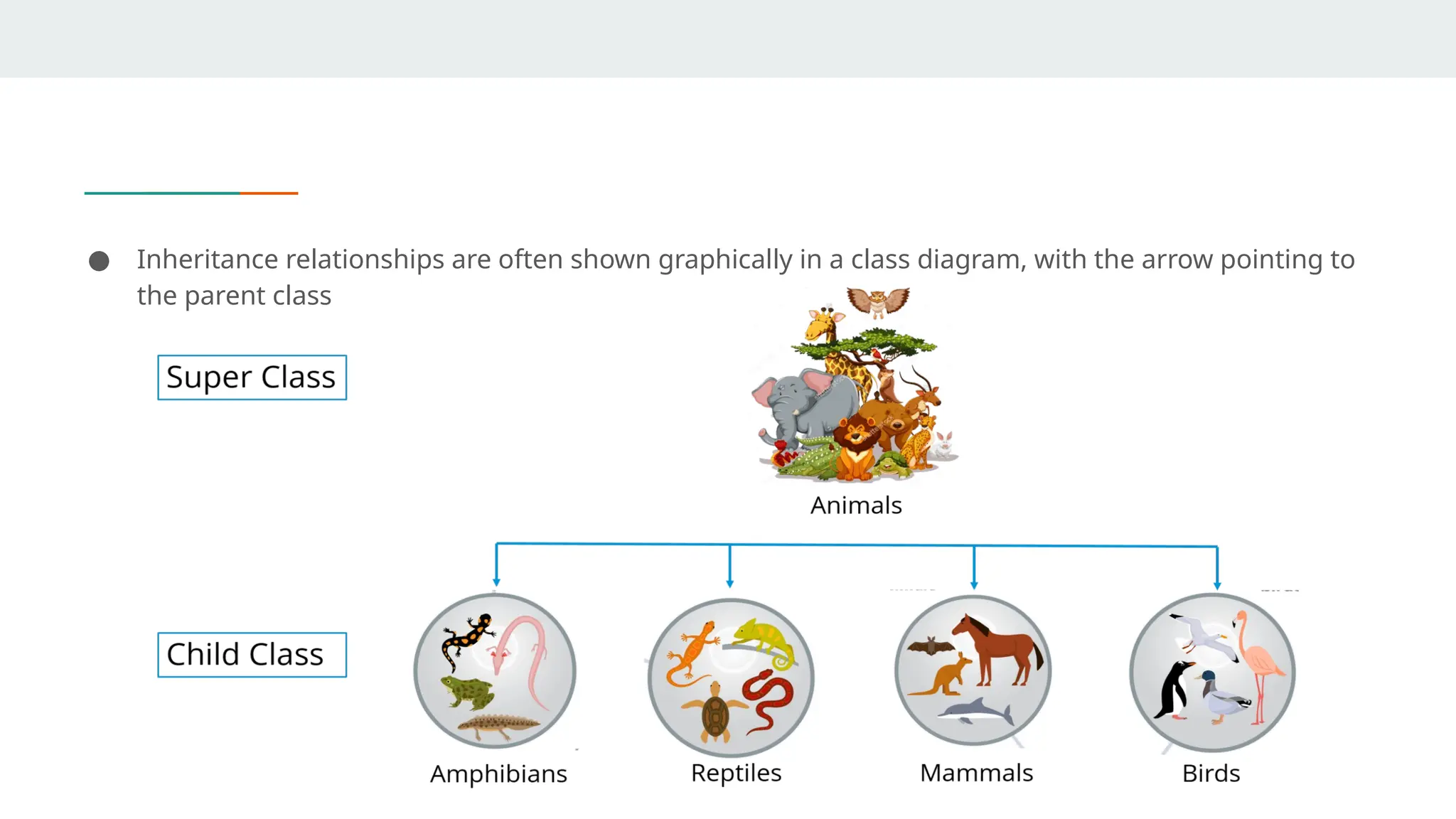 ● Inheritance relationships are often shown graphically in a class diagram, with the arrow pointing to
the parent class
 