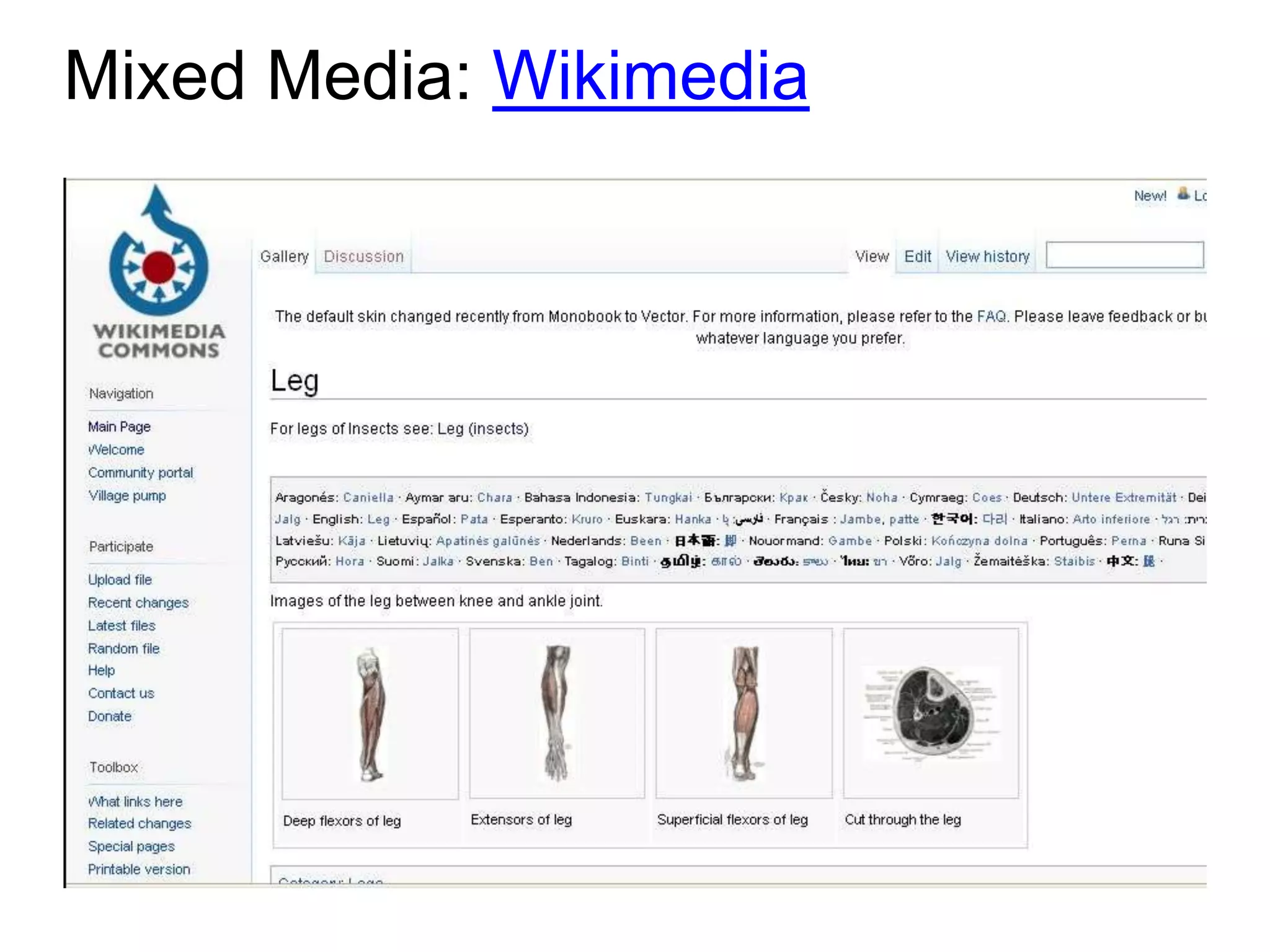 Mixed Media: Wikimedia
 