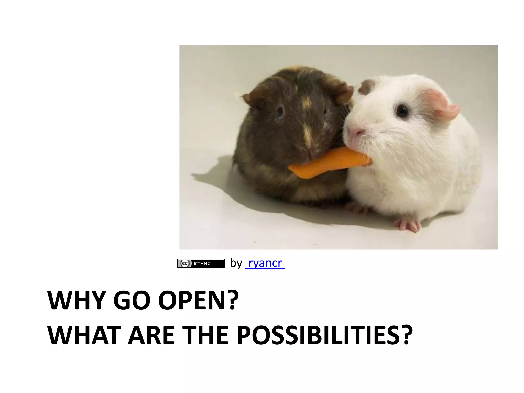 by ryancr


WHY GO OPEN?
WHAT ARE THE POSSIBILITIES?
 