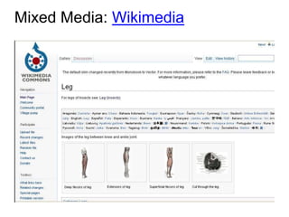 Mixed Media: Wikimedia
 