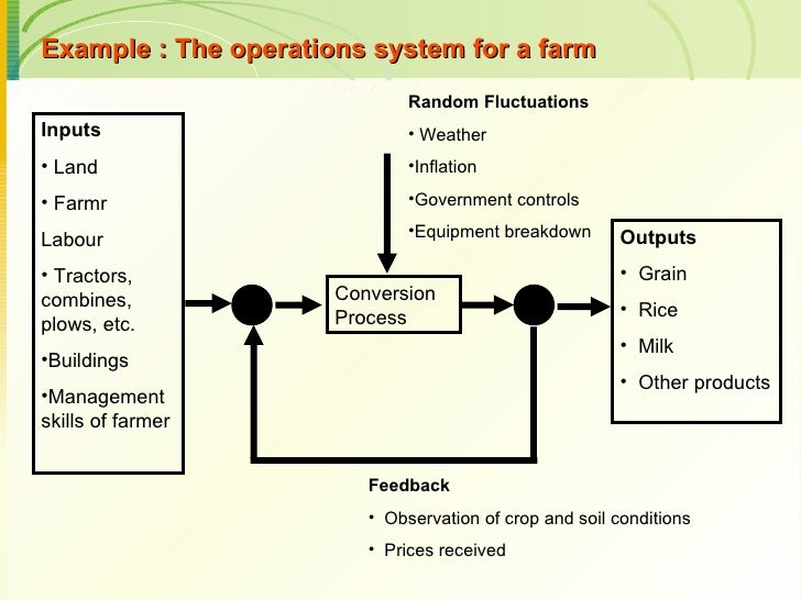 operations management history A businesses' operations management strategy is one of its most vital plans of action find out about the forces influencing a company's operations management strategy with help from a serial entrepreneur, information technology thought leader, published technical author and content management and wordpress authority in this free video. operations management history A businesses' operations management strategy is one of its most vital plans of action find out about the forces influencing a company's operations management strategy with help from a serial entrepreneur, information technology thought leader, published technical author and content management and wordpress authority in this free video.