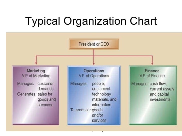 Typical Organizational Chart For Operations Management