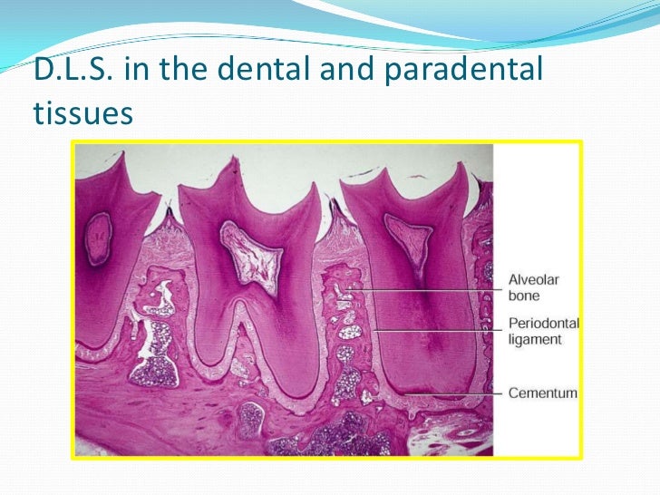 Introduction to Oral Biology