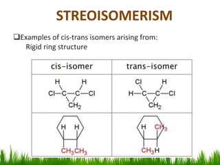 Examples of cis-trans isomers arising from:
Rigid ring structure
STREOISOMERISM
 