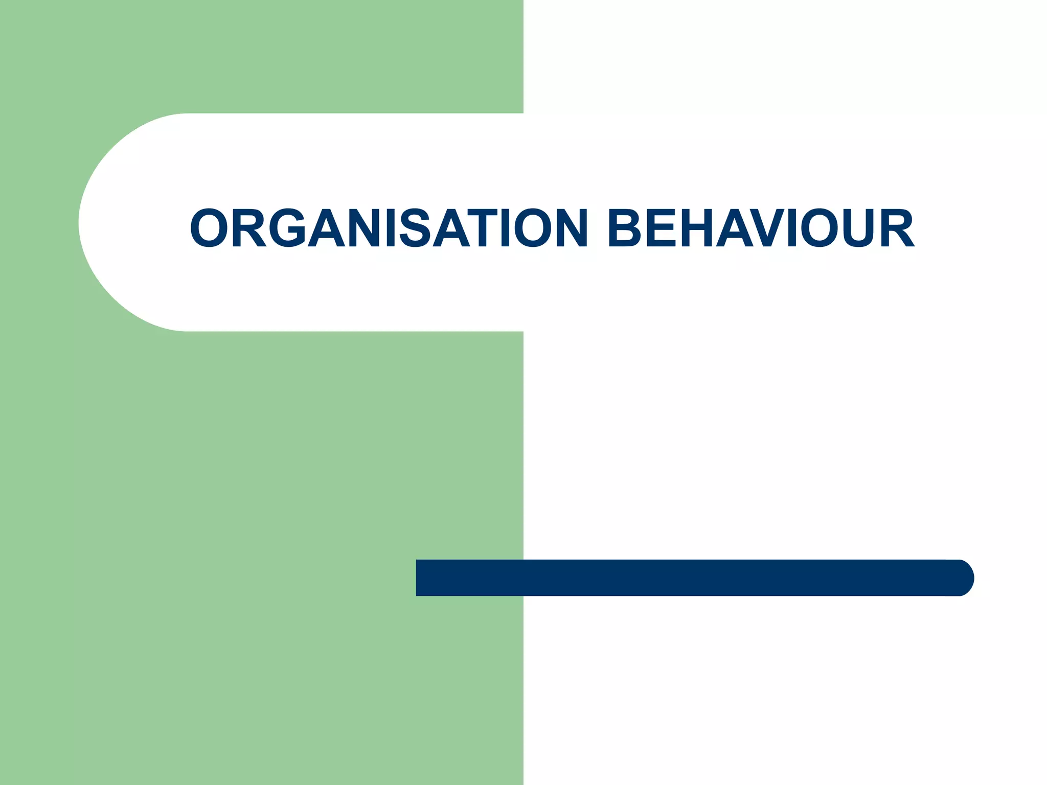 ORGANISATION BEHAVIOUR
 