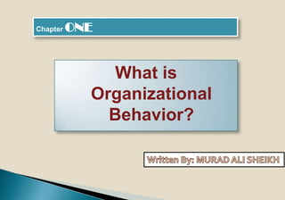 Chapter ONE
What is
Organizational
Behavior?
 