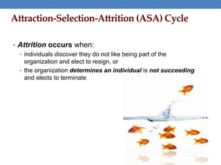 Attraction-Selection-Attrition (ASA) Cycle
• Attrition occurs when:
• individuals discover they do not like being part of the
organization and elect to resign, or
• the organization determines an individual is not succeeding
and elects to terminate
 
