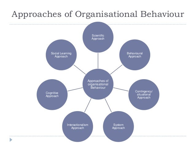 introduction to organisational behaviour 10introduction 11an organization is a system of two or more people, engaged in cooperative action, trying to reach an agreed-upon purpose organizations are bound-bed systems of structured social interactions featuring the use of incentives, communication systems, and authority relations. introduction to organisational behaviour 10introduction 11an organization is a system of two or more people, engaged in cooperative action, trying to reach an agreed-upon purpose organizations are bound-bed systems of structured social interactions featuring the use of incentives, communication systems, and authority relations.