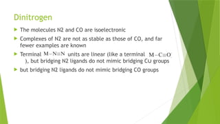 Dinitrogen
 The molecules N2 and CO are isoelectronic
 Complexes of N2 are not as stable as those of CO, and far
fewer examples are known
 Terminal units are linear (like a terminal
), but bridging N2 ligands do not mimic bridging CO groups
 but bridging N2 ligands do not mimic bridging CO groups
 