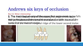 Introduction to orthodontics | PPTX