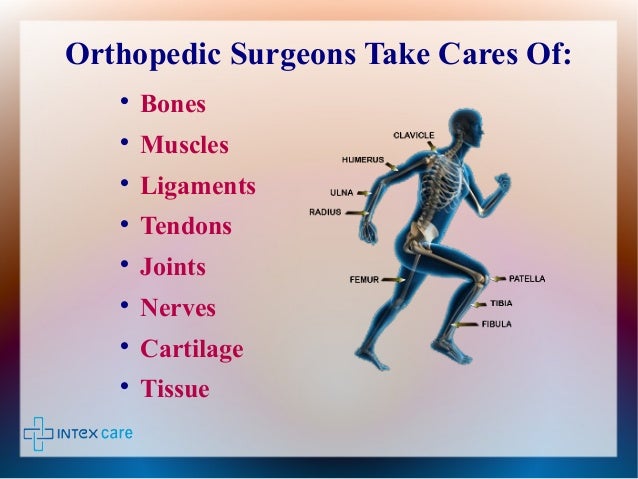 Introduction To Orthopedic Treatment